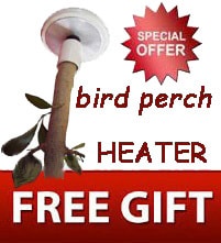 bird aviary heated perch