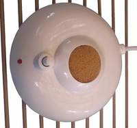 Fan heater for a bird cage