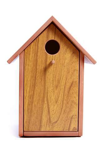 Free build a small bird house plan